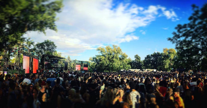 AN OUTSTANDING DAY AT ELECTRIC ISLAND (CIVIC HOLIDAY EDITION)