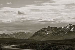 THE DEMPSTER