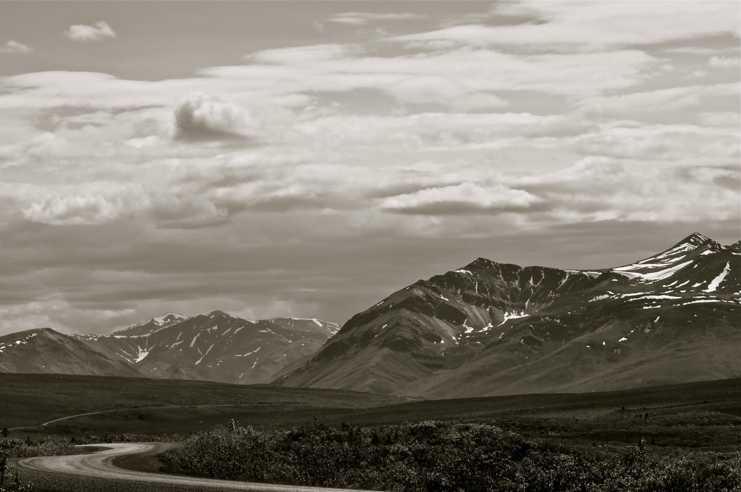 THE DEMPSTER