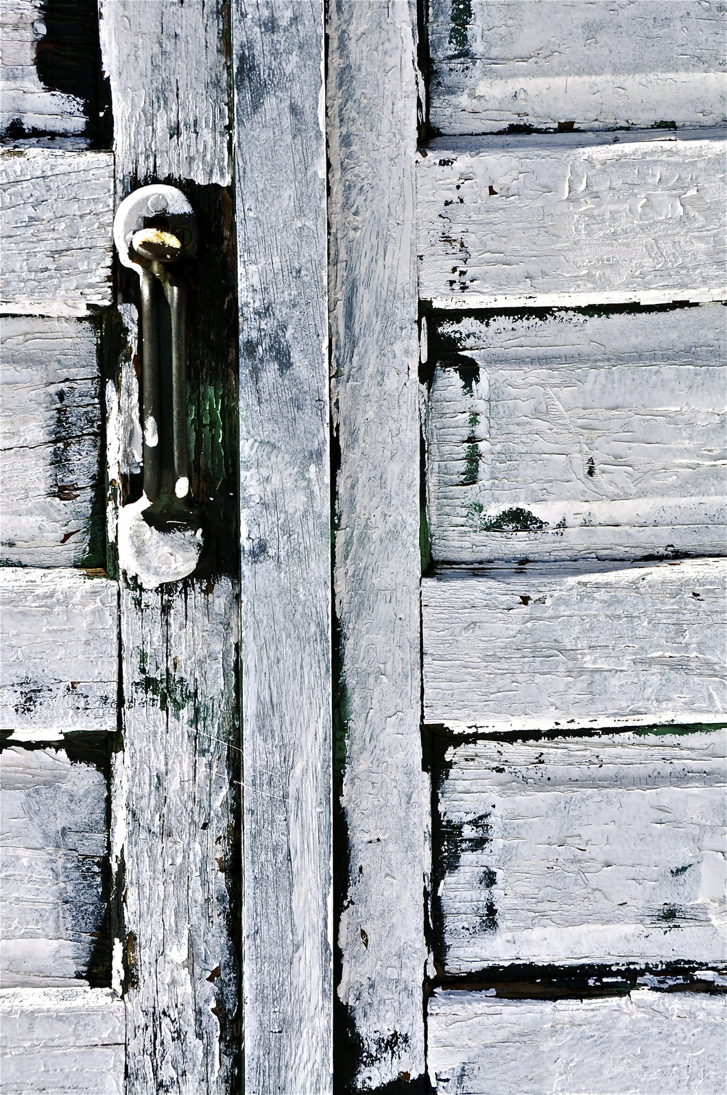 PAINTED DOOR